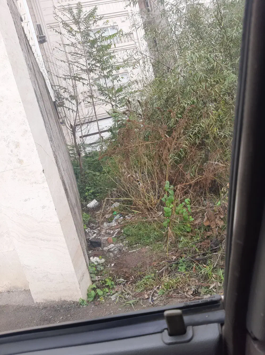 کبوتر گم شده عکسشو ندارم|حیوانات|پیربازار, |دیوار