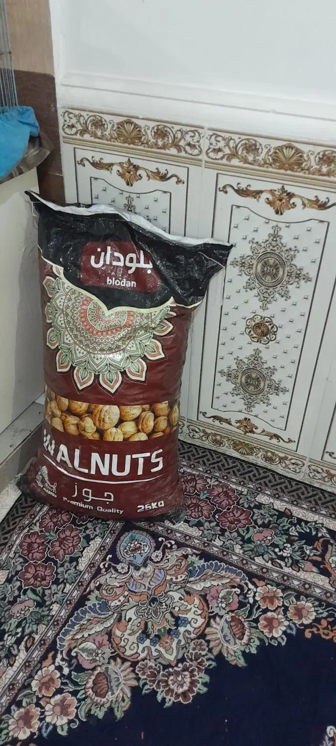 گردو خارجی|حراج|اهواز, پردیس|دیوار