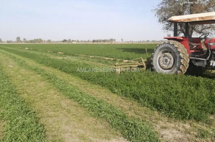 اجاره ۴هکتار زمین کشاورزی آبی|اجارهٔ دفتر صنعتی، کشاورزی، تجاری|سرپل ذهاب, |دیوار