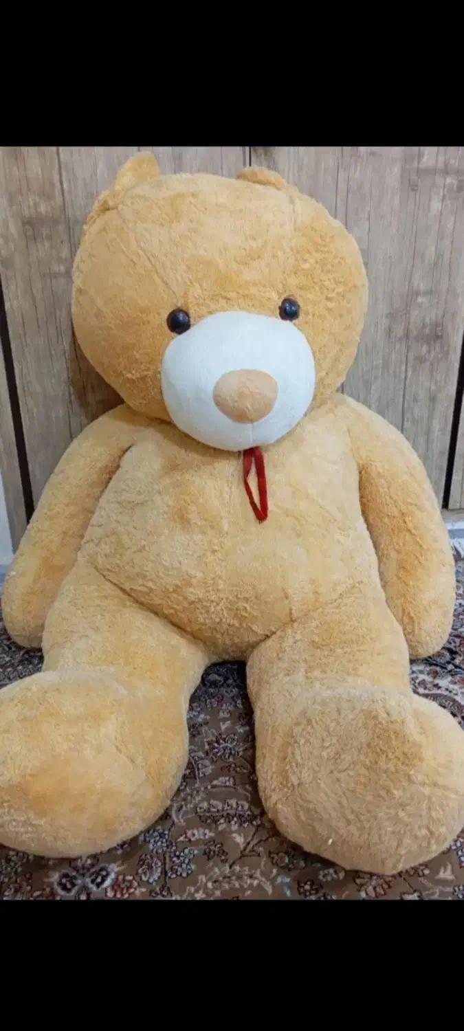 عروسک خرسی|اسباببازی|یاسوج, |دیوار