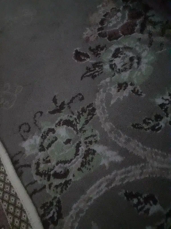 اهدایی|فرش|مشهد, بهمن|دیوار