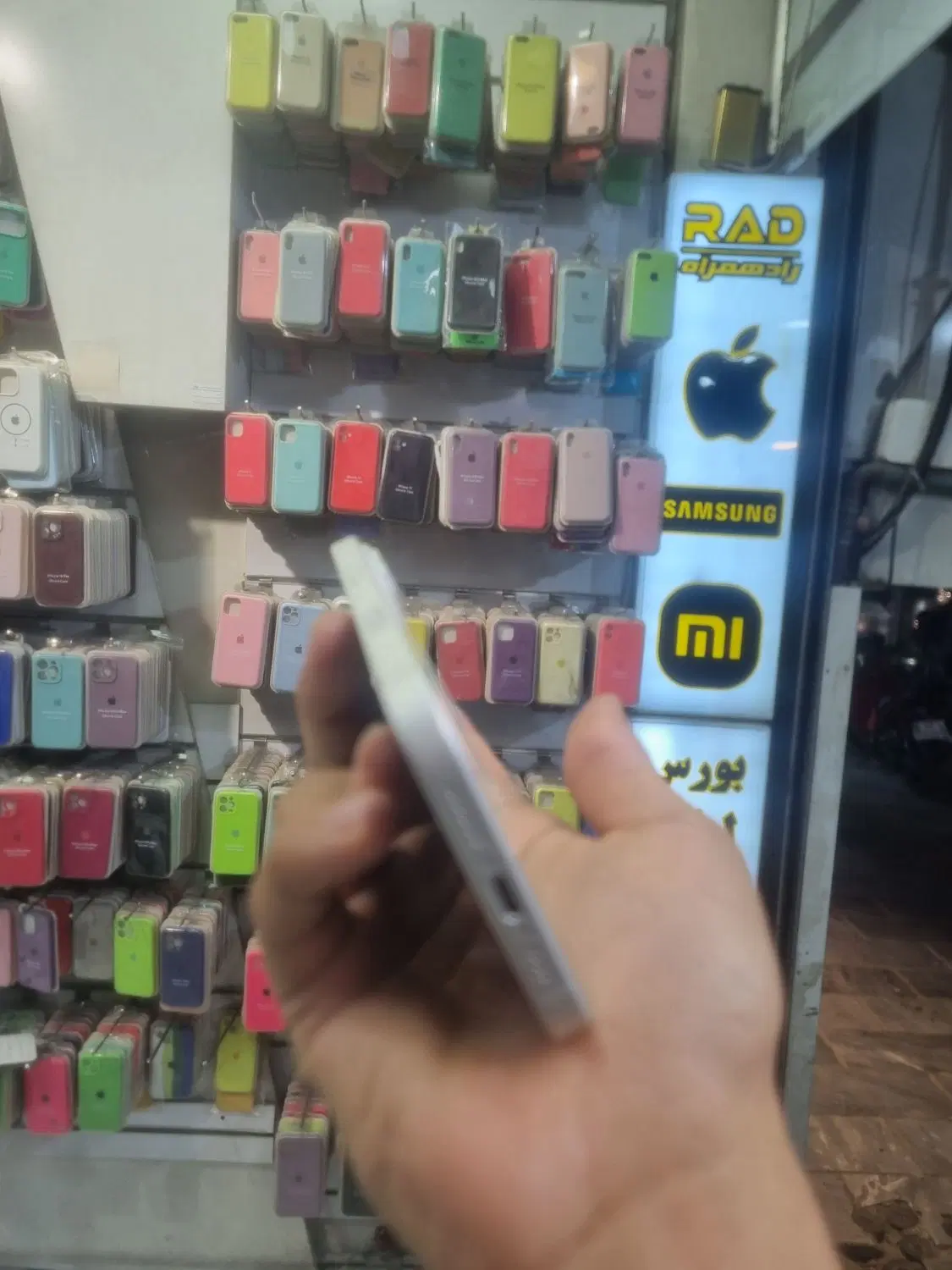 ip16 نرمال|موبایل|مشهد, آزادشهر|دیوار