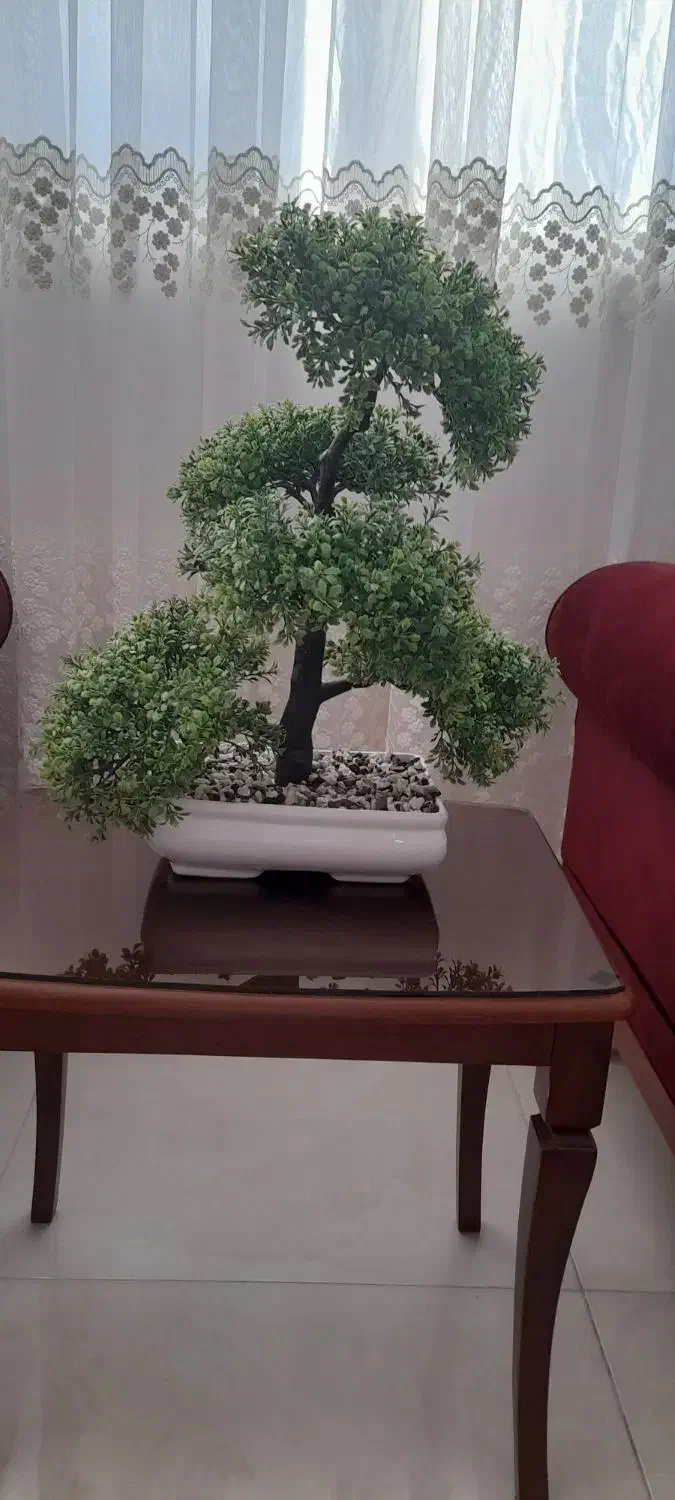 درختچه بونسای مصنوعی|گل مصنوعی|شاهرود, |دیوار