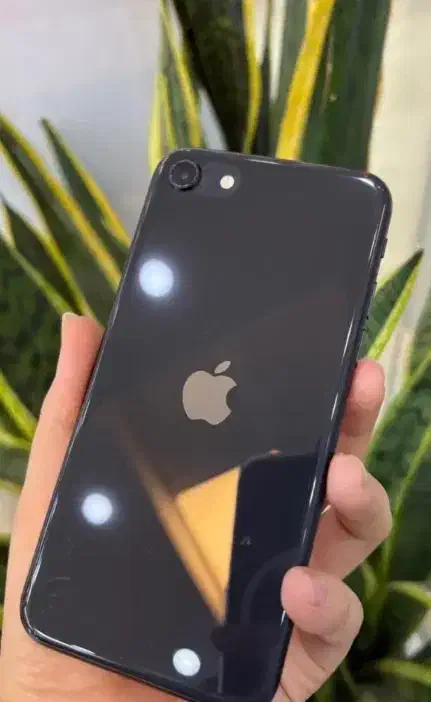 ایفون اس ای|موبایل|گرگان, |دیوار