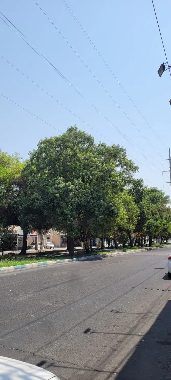 خیابان دهقان /عارف/شیخ بهایی/ فجر/مدرس|فعالیت داوطلبانه تحقیقاتی|دزفول, |دیوار