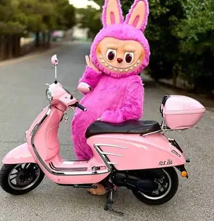 تولد جشن یلدا بادکنک ارایی فروش کرایه تنپوس عروسکی|خدمات پذیرایی، مراسم|شیراز, فرهنگ شهر|دیوار