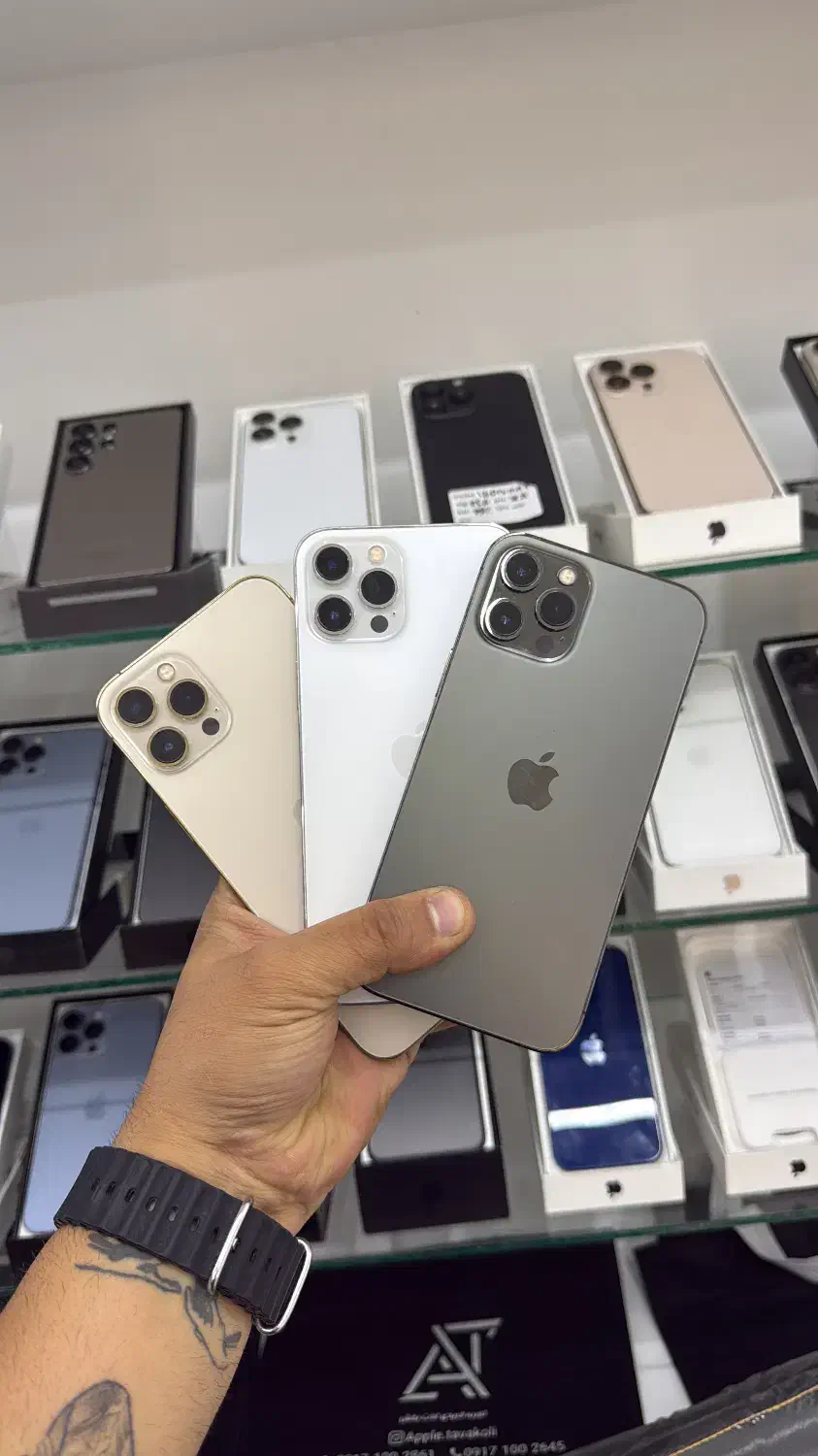 iphone 12 pro max|موبایل|شیراز, گلدشت معالیآباد|دیوار