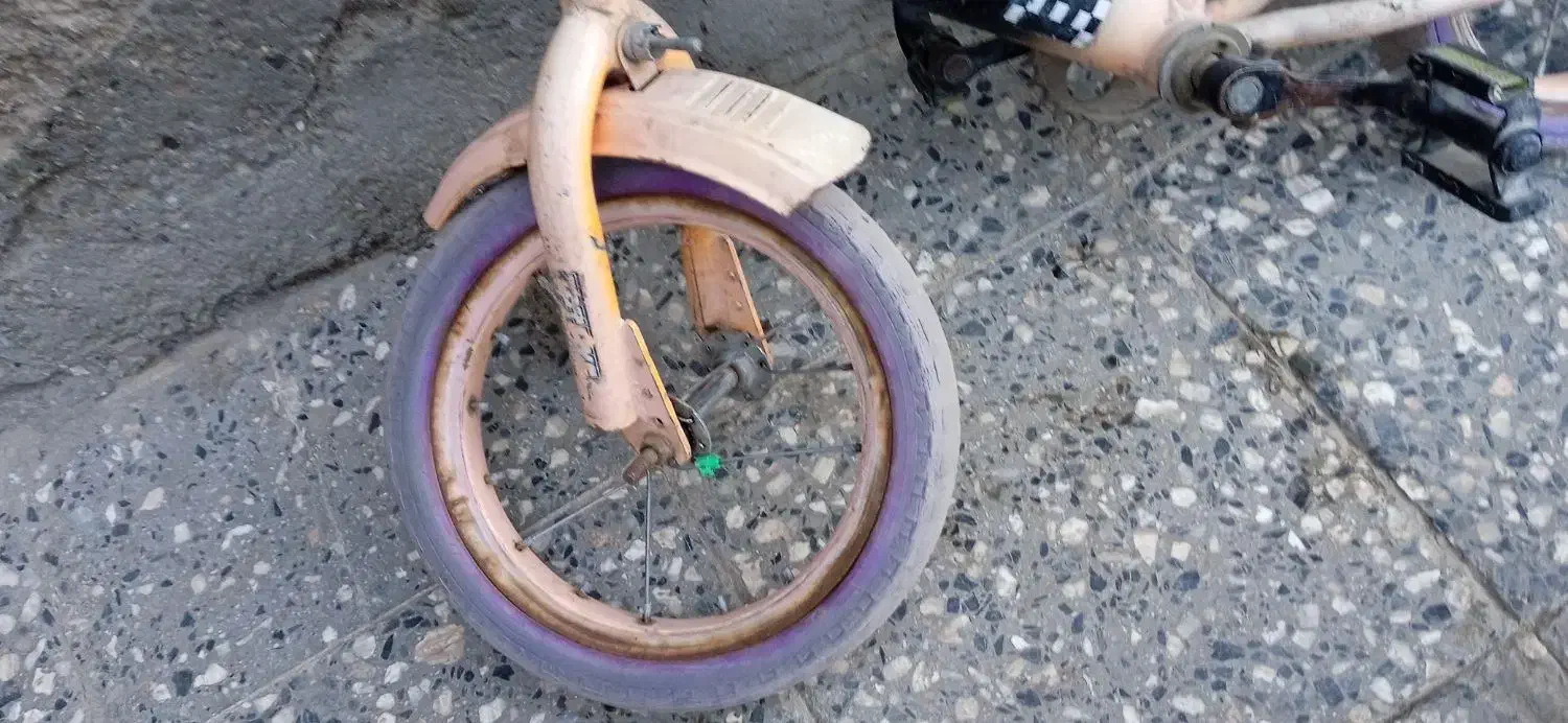 دوچرخ ۱۲|دوچرخه، اسکیت، اسکوتر|زاهدان, |دیوار