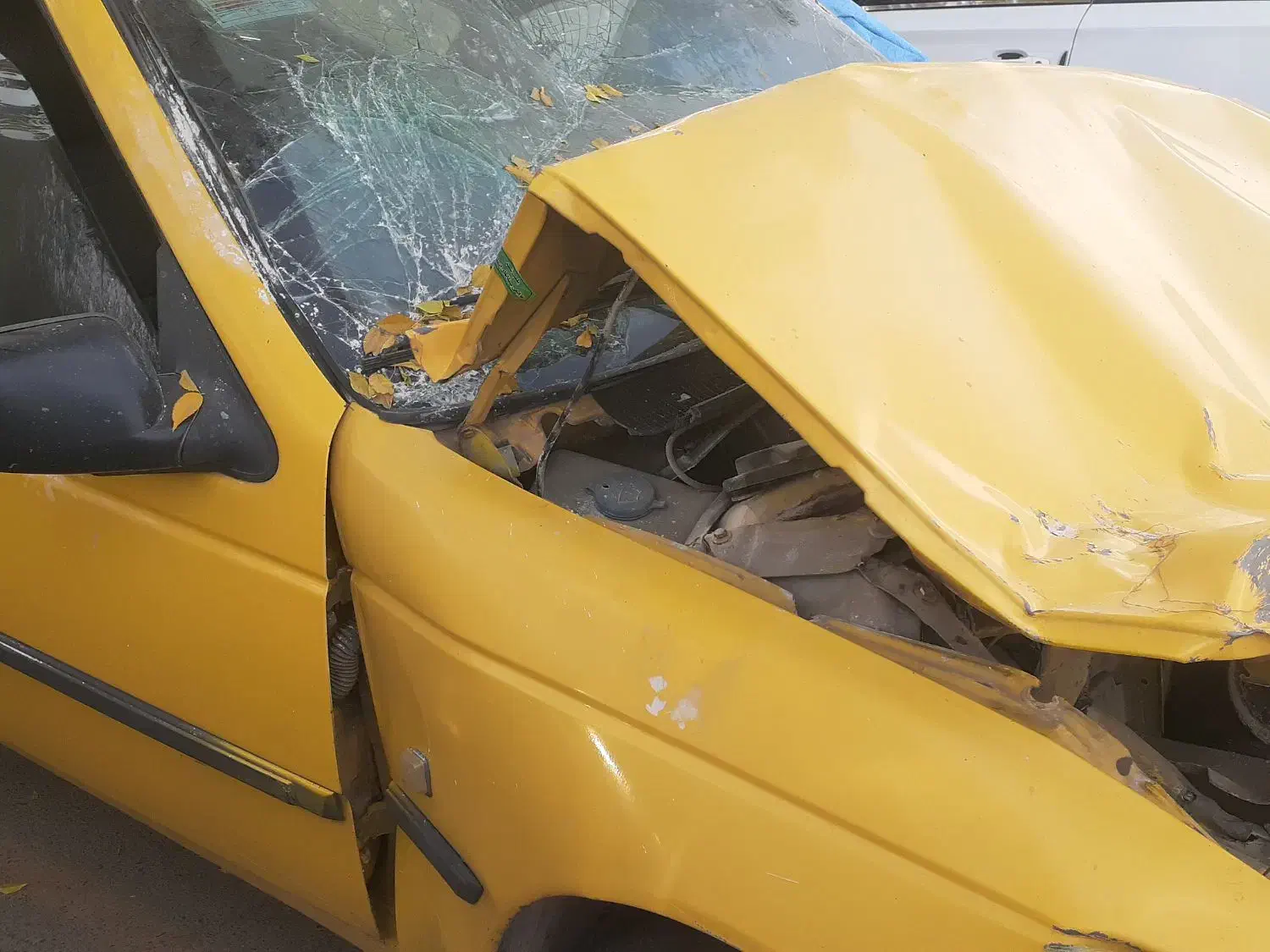 تاکسی تصادفی مدل ۹۵|خودرو سواری و وانت|مشهد, بلال|دیوار