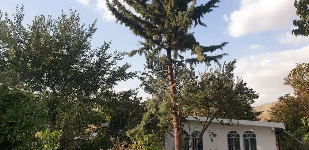 رهن کامل خانه ویلایی مبله فول بازسازی|اجارهٔ خانه و ویلا|رودهن, |دیوار