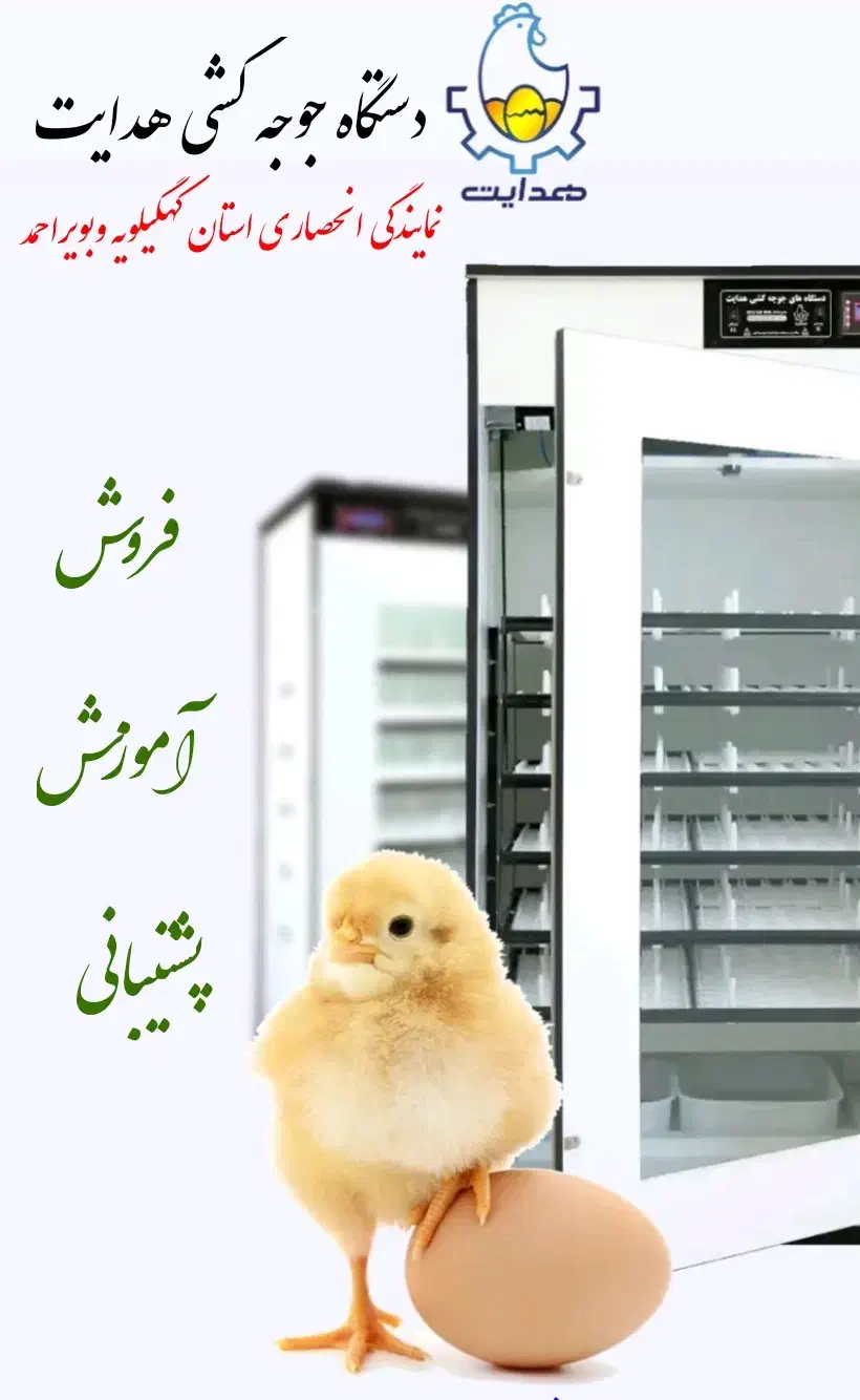 دستگاه جوجه کشی هدایت|ماشینآلات صنعتی|یاسوج, |دیوار