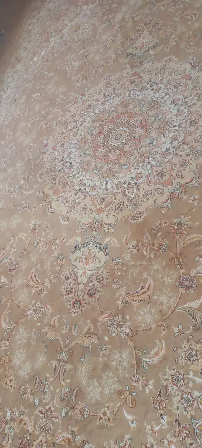 فرش ۱۲ متری|فرش|بجنورد, |دیوار