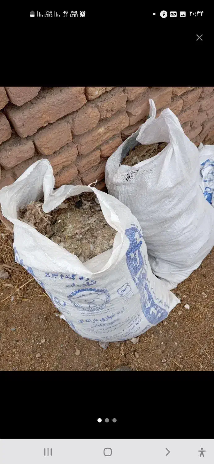 کود کفتر|خدمات باغبانی و درختکاری|سهند, |دیوار