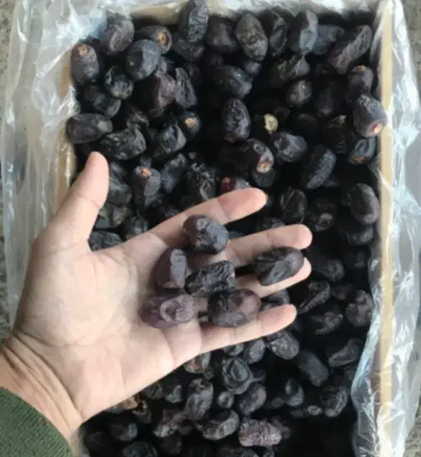 خرما درجه دو تمیز . ۲۰۰عدد مادر کارتن|خوردنی و آشامیدنی|نرماشیر, |دیوار