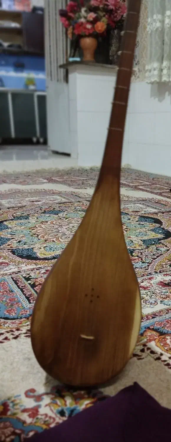 دوتار زیبا|سازهای سنتی|بجنورد, |دیوار