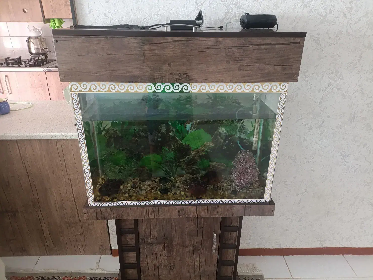 آکواریوم ماهی باتمام وسایل داخل|ماهی|پرند, فاز ۶|دیوار