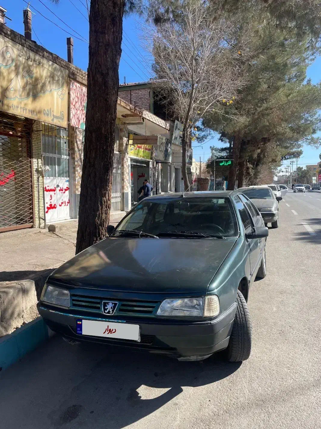 پژو مدل ۸۱|خودرو سواری و وانت|زرند, |دیوار