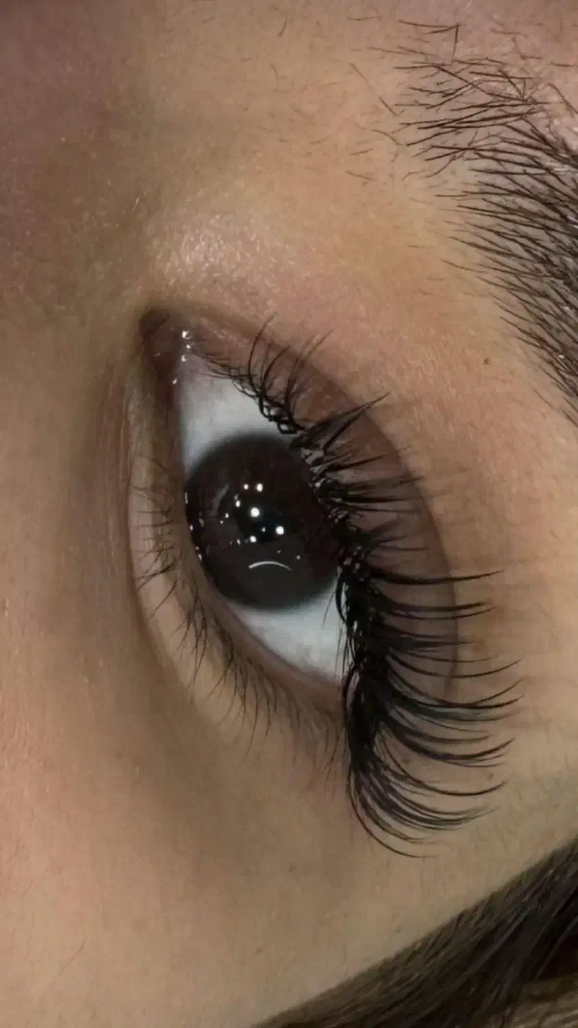 کاشت مژه و اکستیشن مژه|خدمات آرایشگری و زیبایی|مشهد, وحید|دیوار