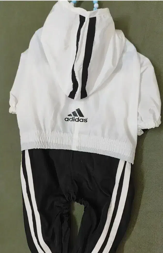 لباس سگ|لوازم جانبی حیوانات|ری, دولتآباد|دیوار