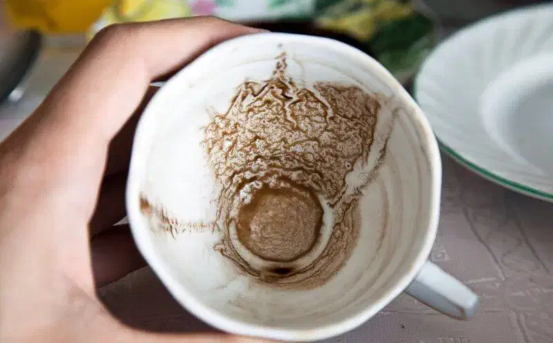 فال تاروت،فال قهوه، ورق،|خدمات پذیرایی، مراسم|تهران, الهیه|دیوار