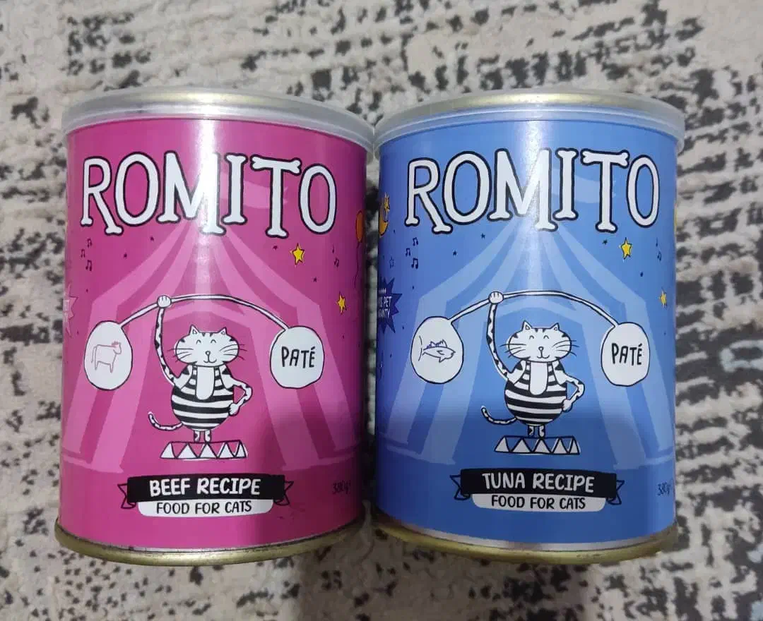 واگذاری رایگان گربه DSH|گربه|اندیشه, شهرک مریم|دیوار