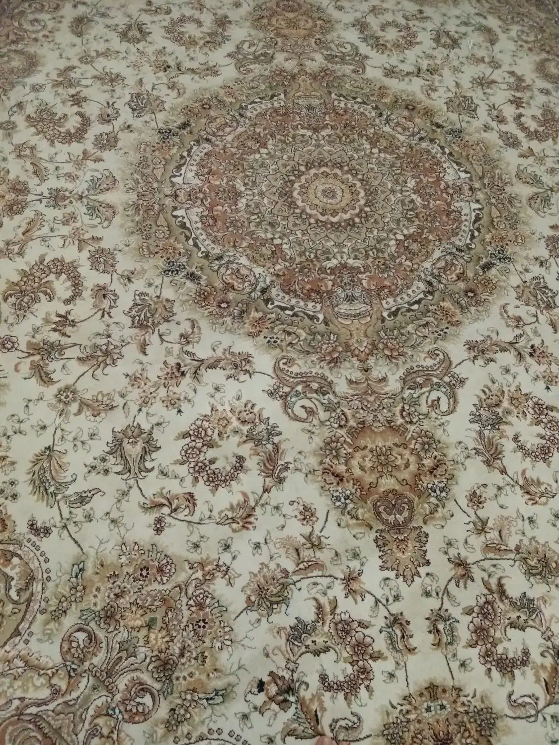 فرش 700 شانه|فرش|رشت, لاکان شهر|دیوار