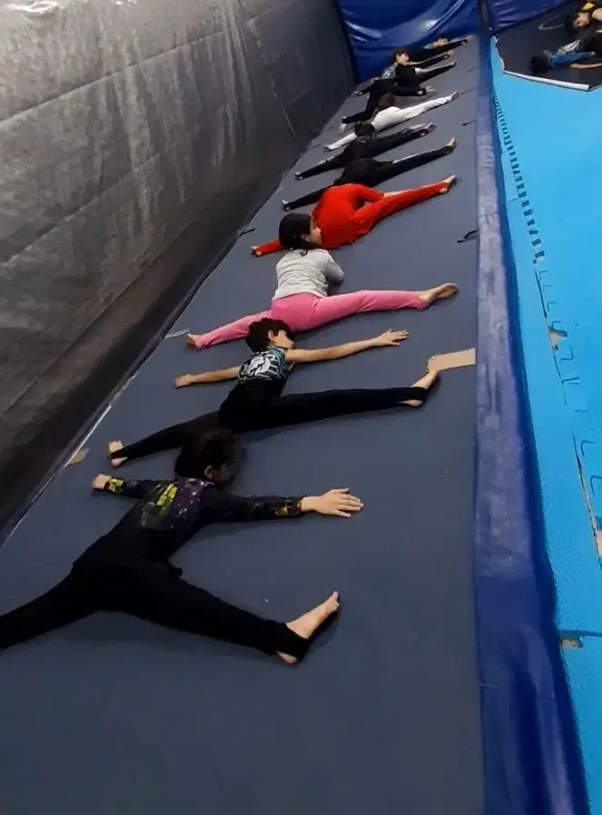 پیست فنری ژیمناستیک|تجهیزات ورزشی|نکا, |دیوار