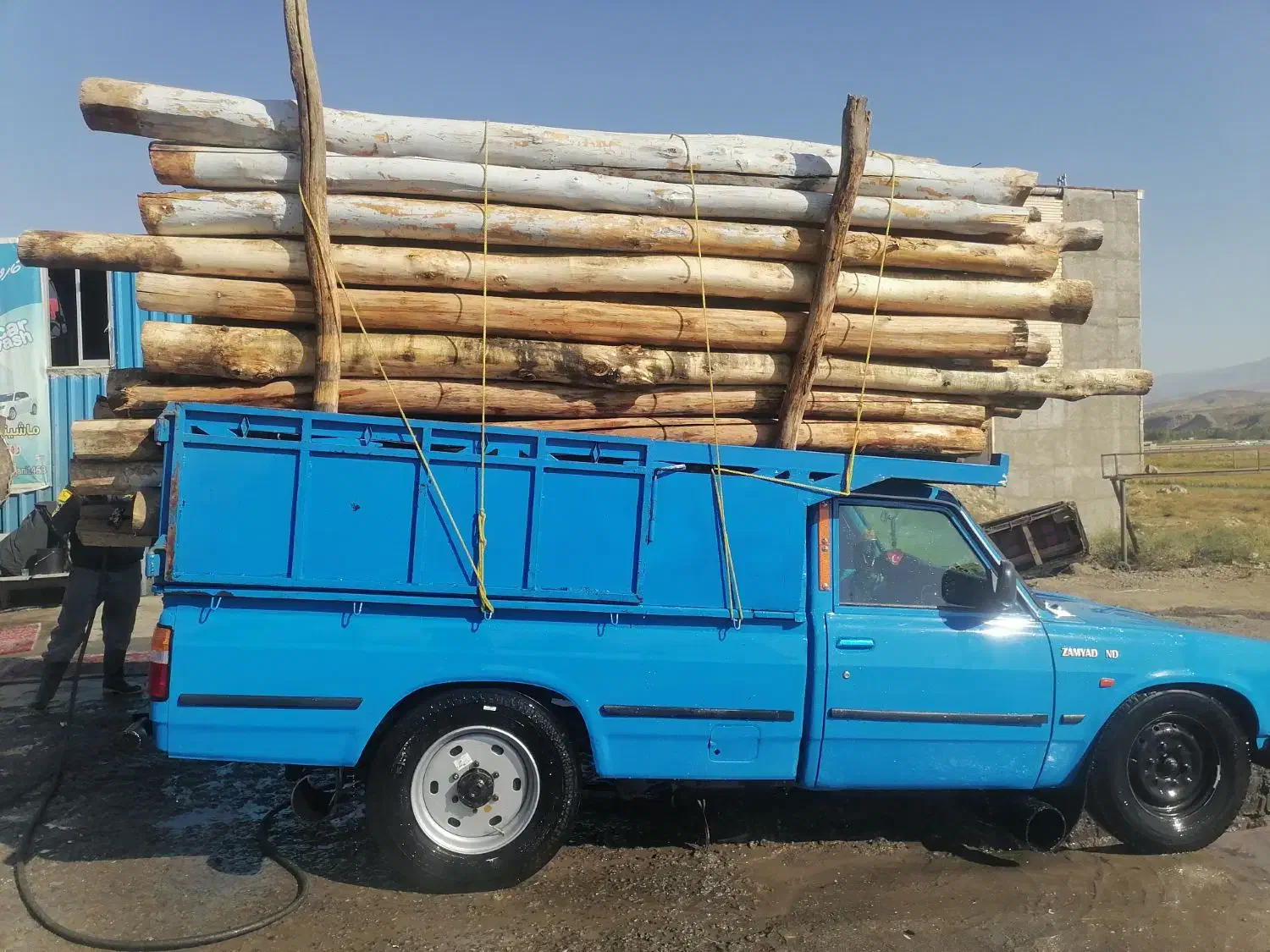 چوب قلمه سویید همه چی|خدمات باغبانی و درختکاری|مشگین شهر, |دیوار