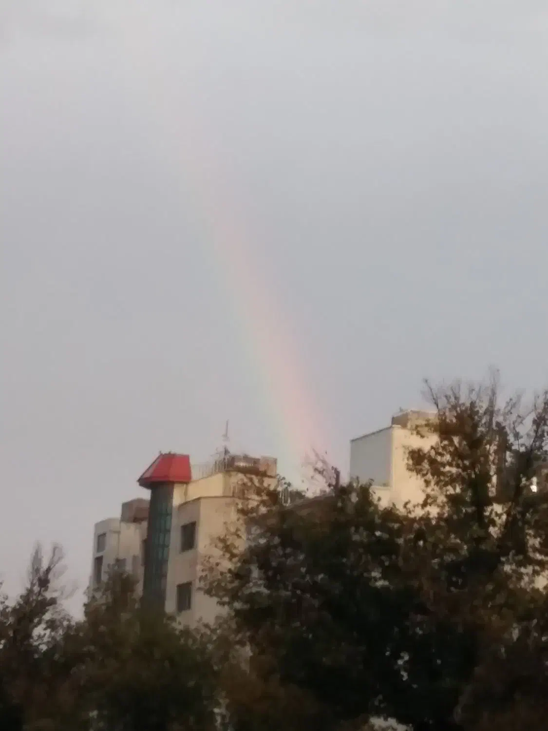 زمین مسکونی|فروش زمین و ملک کلنگی|بیضا, |دیوار