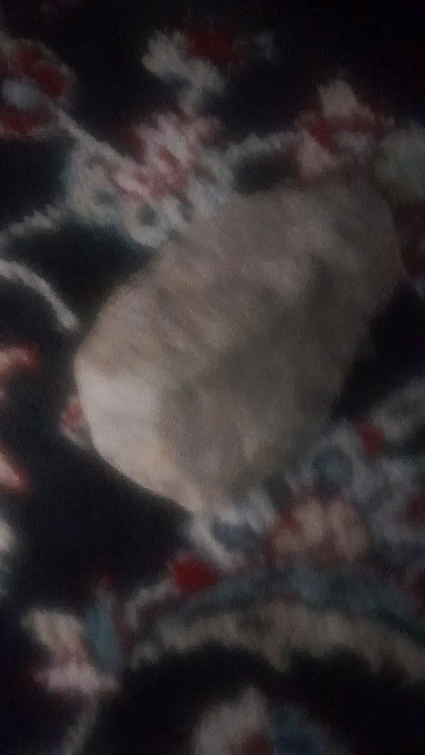 سنگ|کلکسیون اشیاء عتیقه|کوهدشت, |دیوار