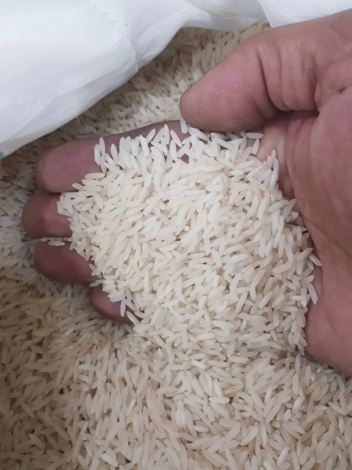 برنج هاشمی ممتاز گیلان|خوردنی و آشامیدنی|تهران, نظامآباد|دیوار