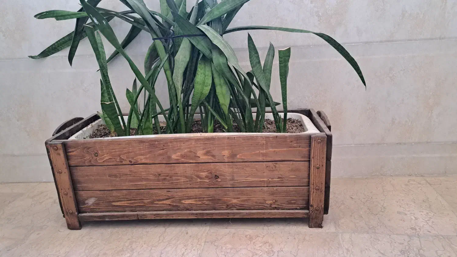 گلدان چوبی ۳۰×۸۰|گل و گیاه طبیعی|شهریار, شهرک امیریه|دیوار