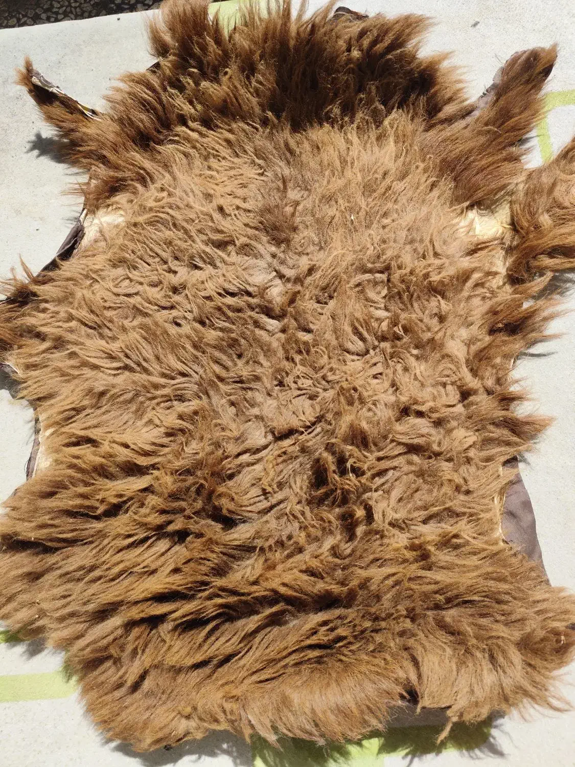 پادری پشمی|پادری|خرمآباد, |دیوار