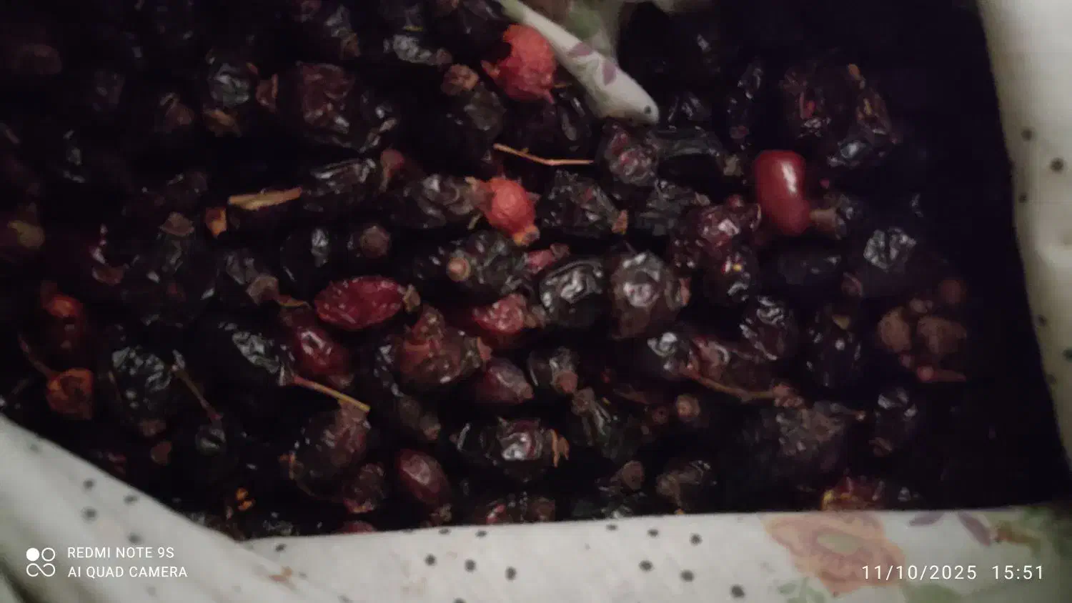 میوه نسترن ( گیلدیک)|خوردنی و آشامیدنی|ری, شهرک نظامی|دیوار