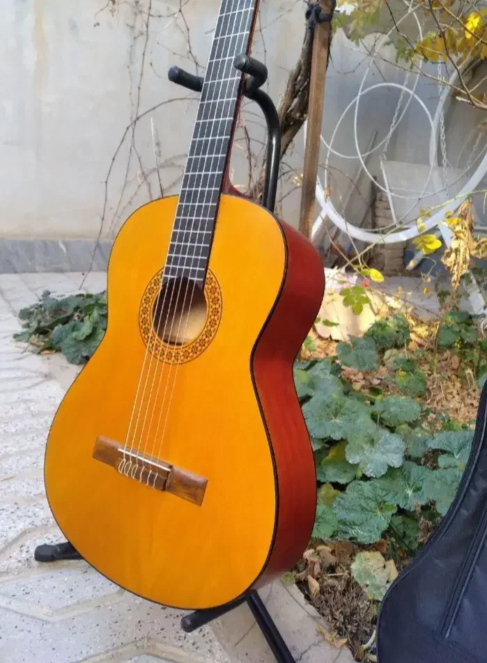 گیتار نو و کارکرد با کیف هدیه|گیتار، بیس، امپلیفایر|بجنورد, |دیوار