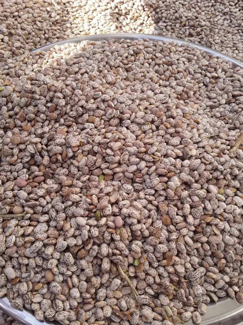 لوبیا چیتی درجه یک|خوردنی و آشامیدنی|اصفهان, فرودگاه شهید بهشتی|دیوار