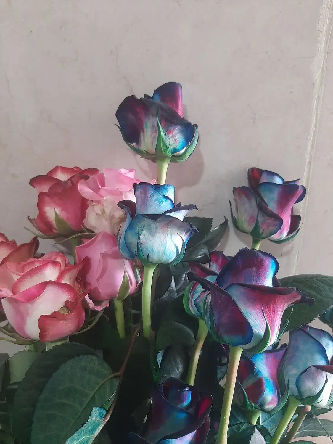 نیازمند نیرو جهت کار در گلخانه گل رز|استخدام صنعتی، فنی، مهندسی|سی‌سخت, |دیوار