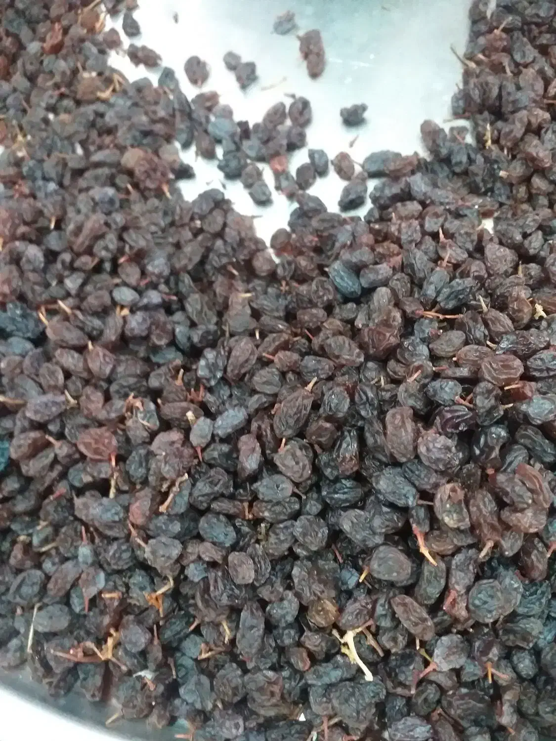 کشمش درجه یک|خوردنی و آشامیدنی|میاندوآب, |دیوار