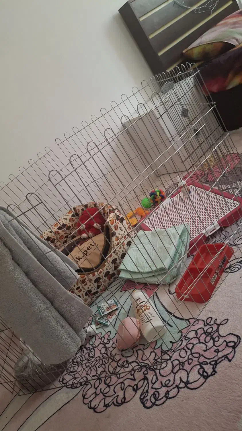 وسایل سگ|لوازم جانبی حیوانات|پرند, فاز ۵|دیوار