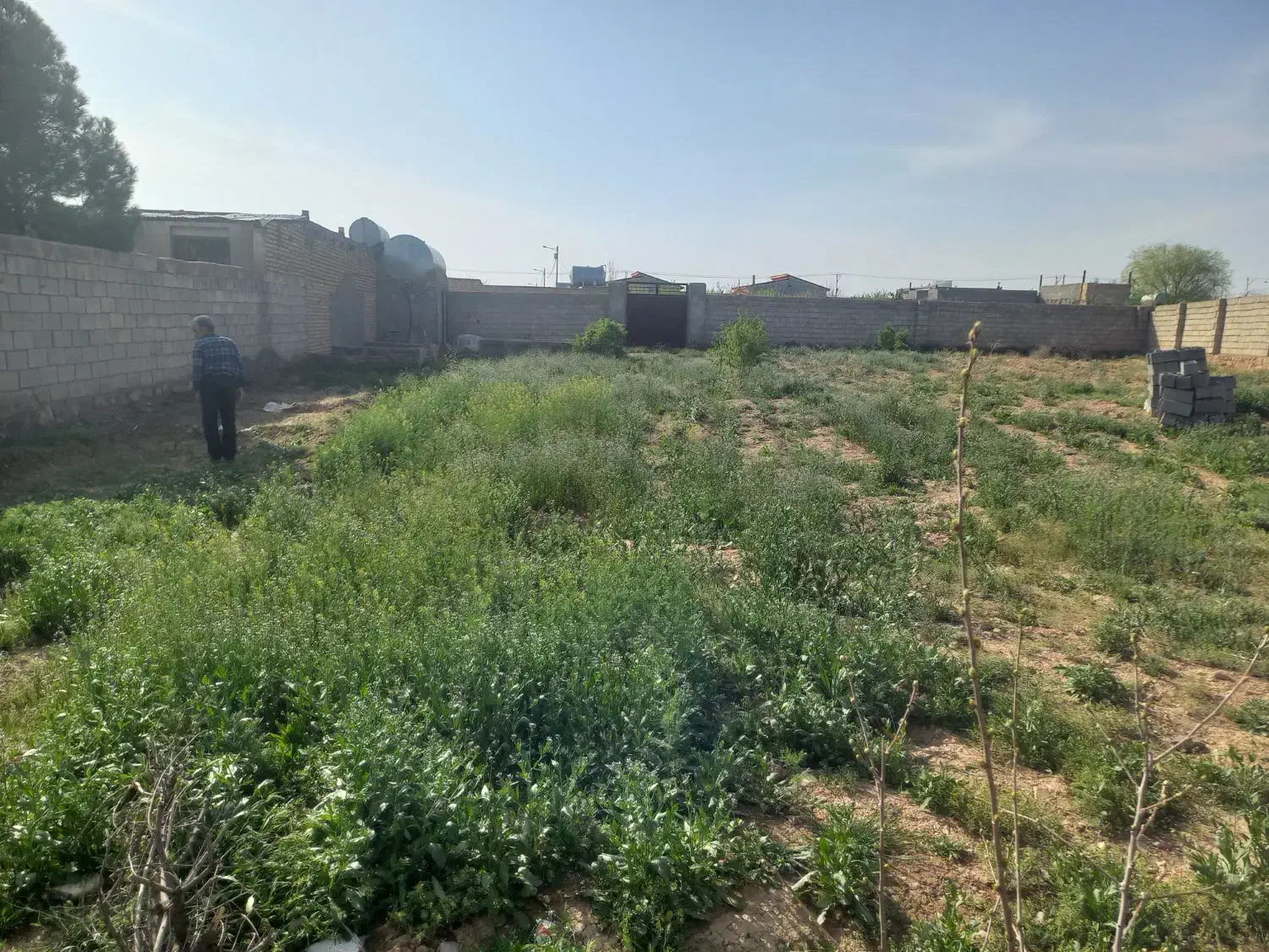 زمین دور دیوار کلاکوب|فروش زمین و ملک کلنگی|مشهد, کلاکوب|دیوار