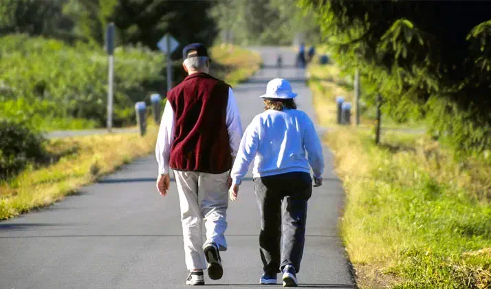 پیاده روی|فعالیت داوطلبانه|پردیس, فاز ۹|دیوار