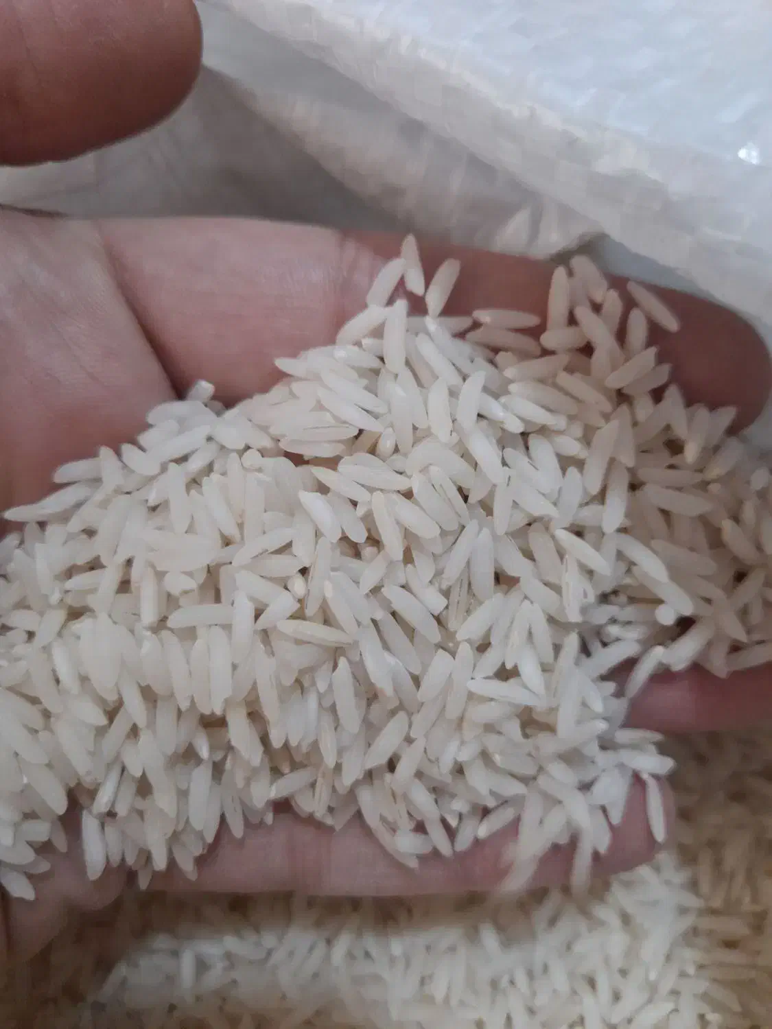 برنج هاشمی|خوردنی و آشامیدنی|محمدیه-قزوین, |دیوار