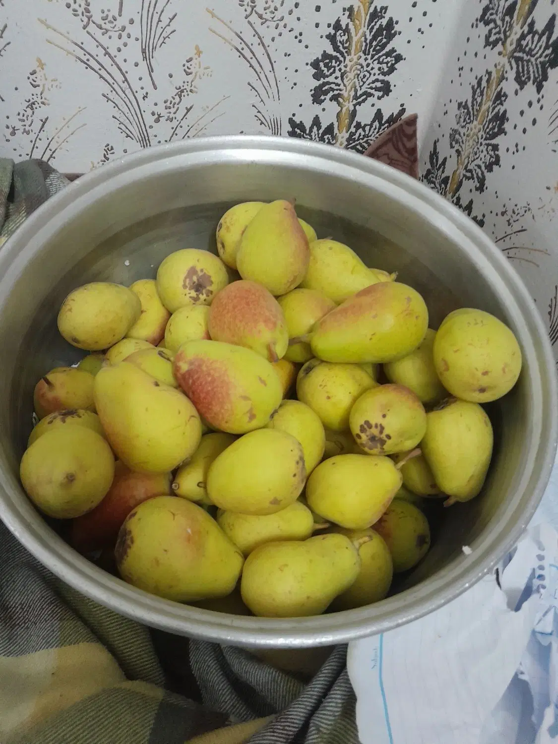 باغ|فروش دفتر صنعتی، کشاورزی، تجاری|رامیان, |دیوار