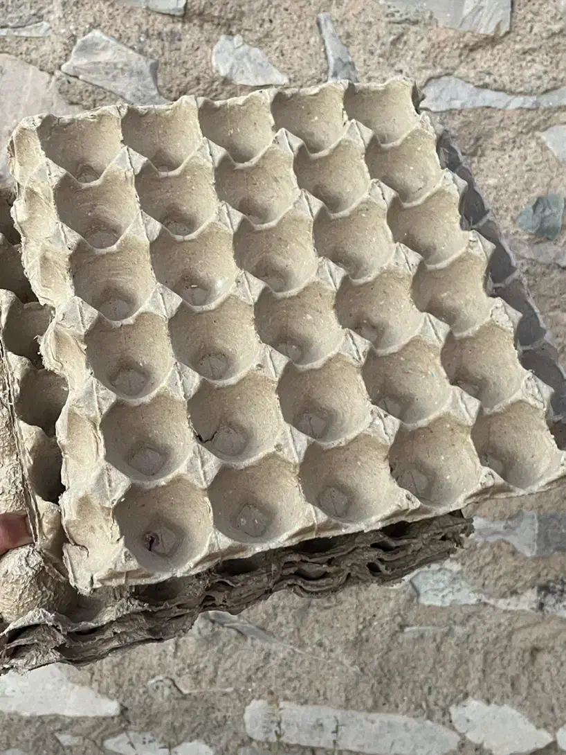 شانه تخم مرغ ۲/۵۰۰ تومن|ظروف نگهدارنده، پلاستیکی، یک‌بارمصرف|بیرجند, |دیوار