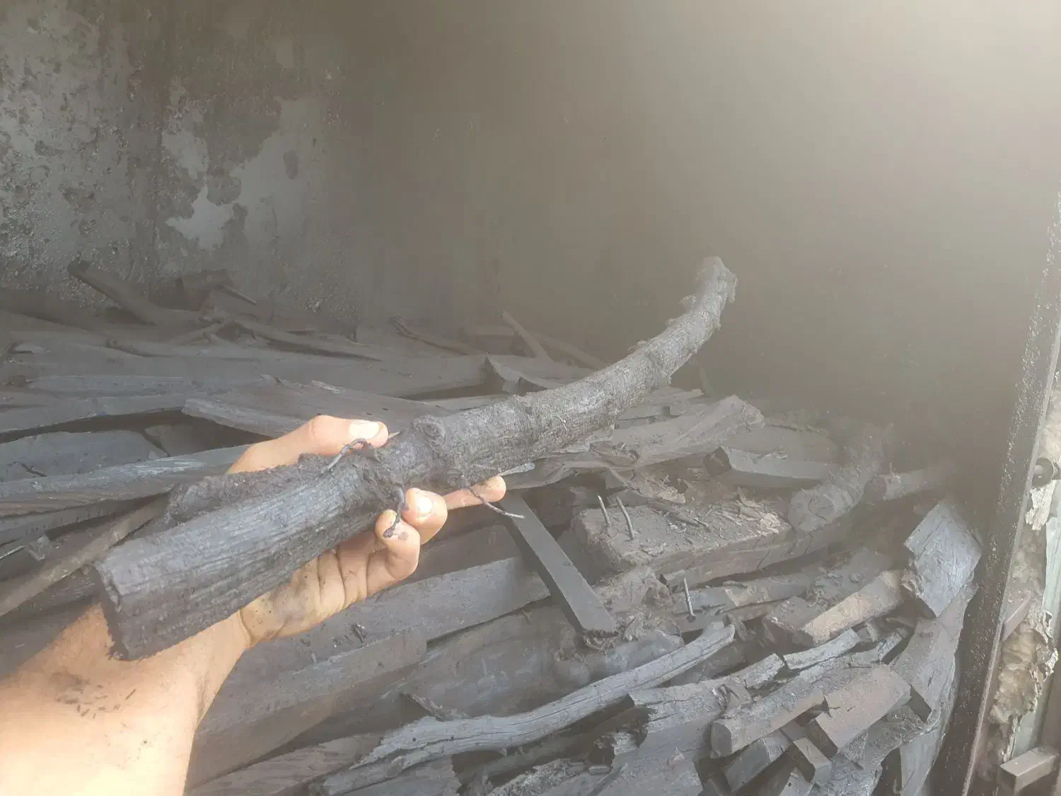 زغال کبابی/زغال اسکلت /گیلان|عمده‌فروشی|کلاچای, |دیوار