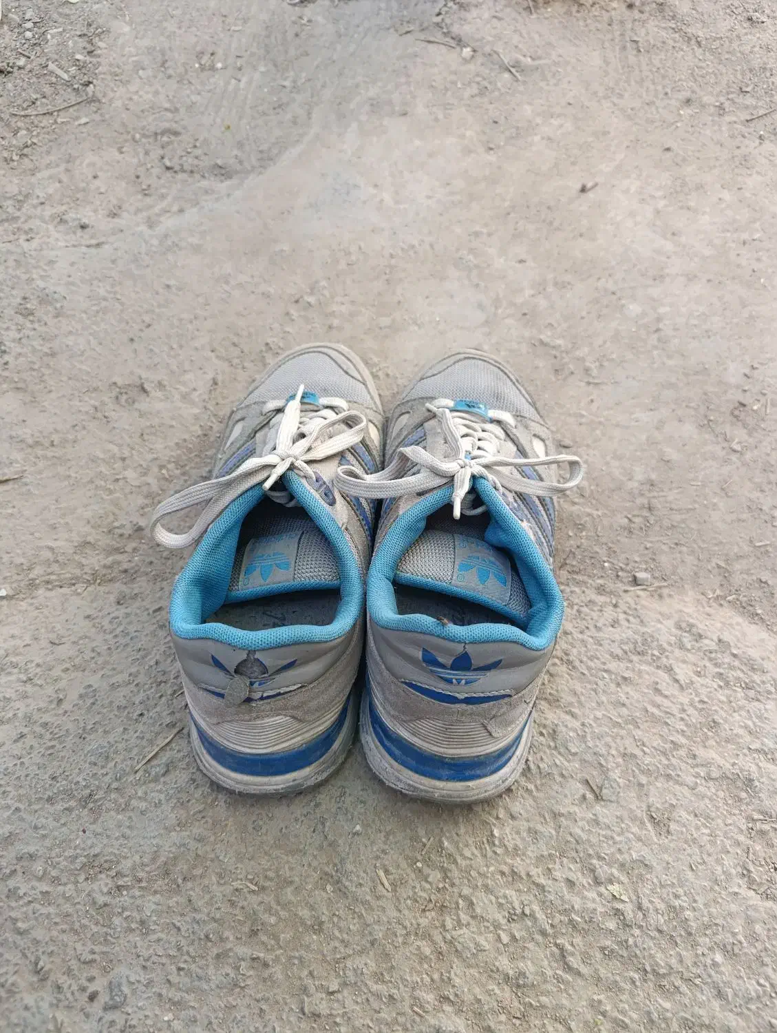 کفش|کیف، کفش، کمربند|کازرون, |دیوار