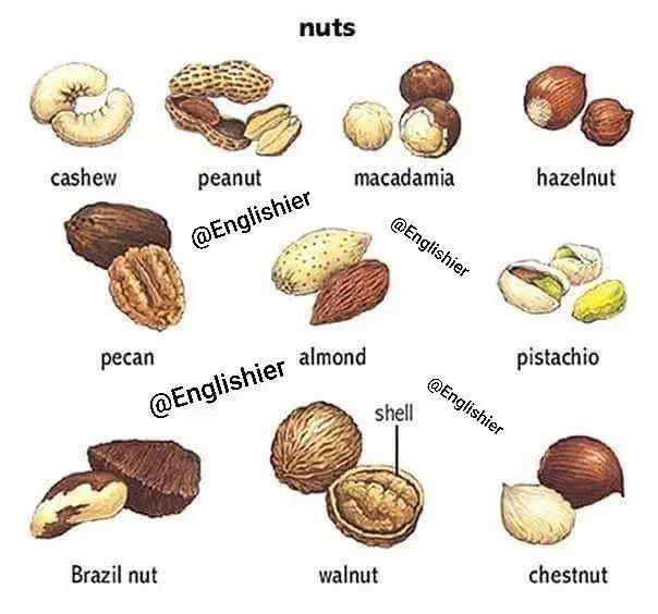 راهنمایی میکنم برای یادگیری زبان انگلیسی|فعالیت داوطلبانه|تهران, فلسطین (میدان انقلاب)|دیوار