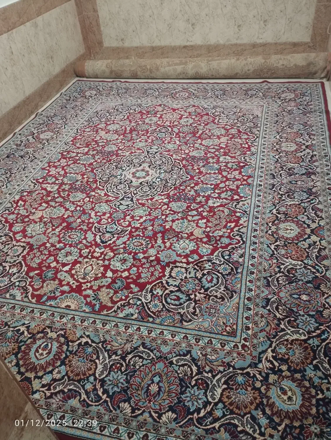 فرش و گلیم فرش|فرش|زابل, |دیوار