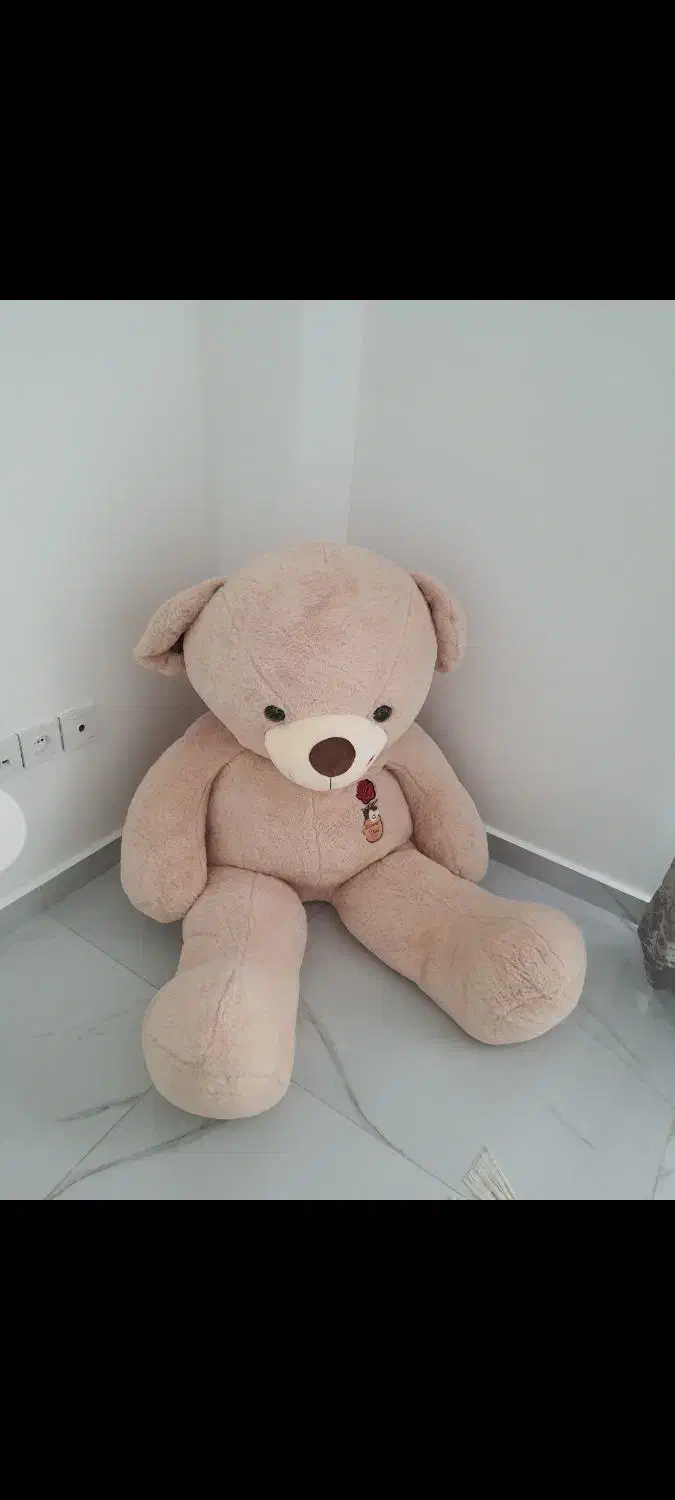 عروسک ولنتاین|اسباب‌‌بازی|بندر انزلی, بشمن|دیوار