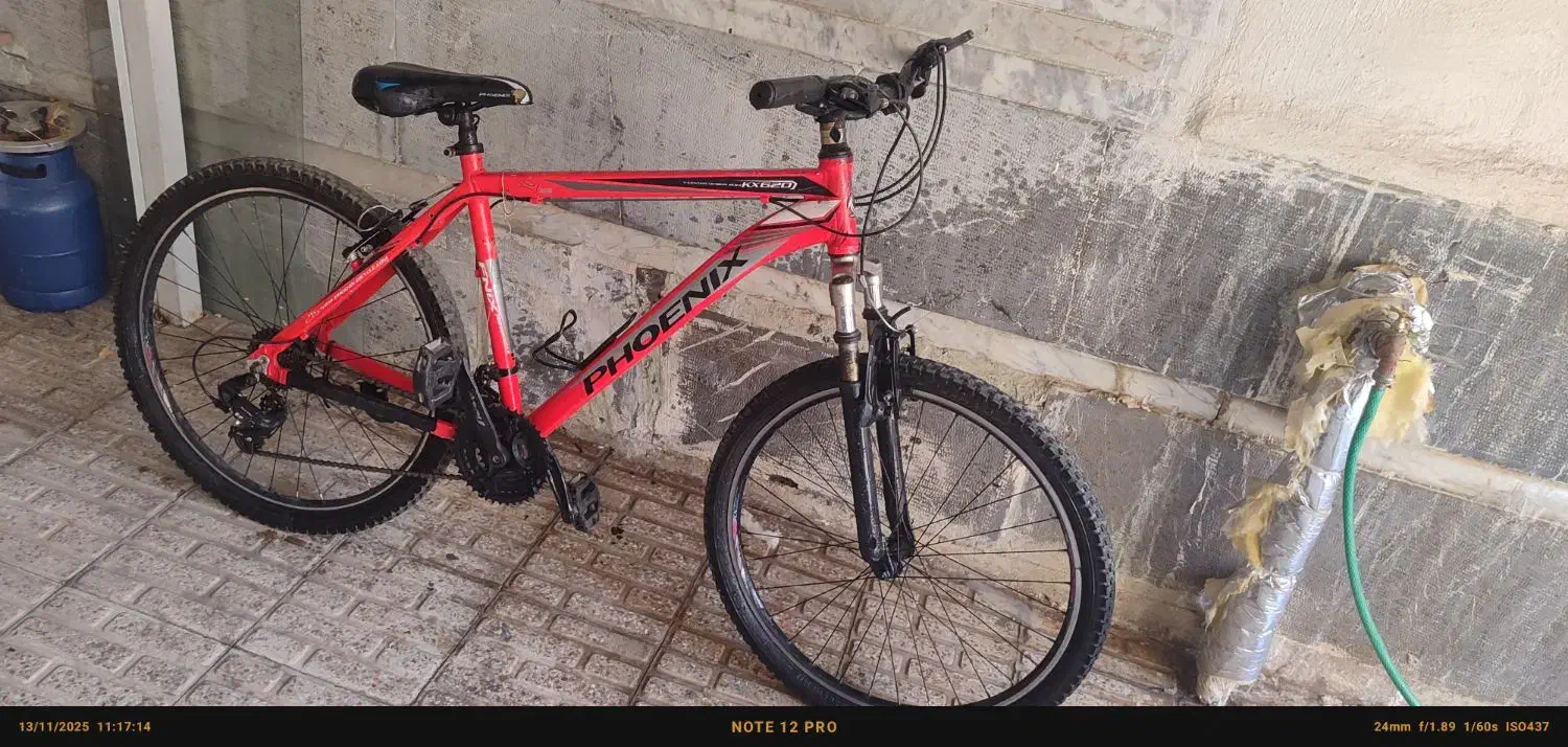 دوچرخه فونیکس|دوچرخه، اسکیت، اسکوتر|فریدونشهر, |دیوار